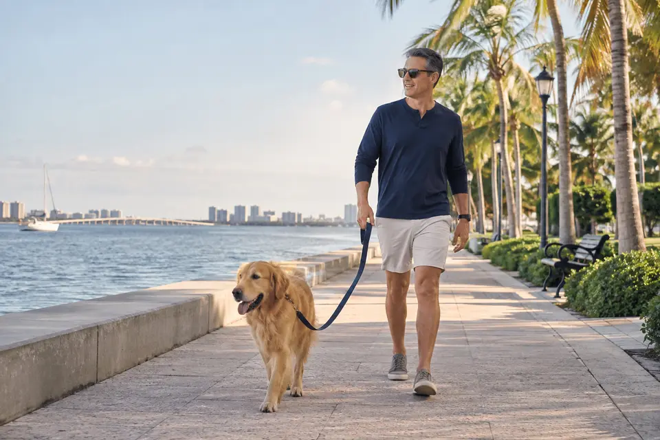 A dog on a lead on a waterfront path